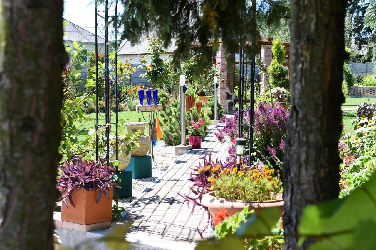 Bed and Breakfast Anna Panzio Herend Екстер'єр фото