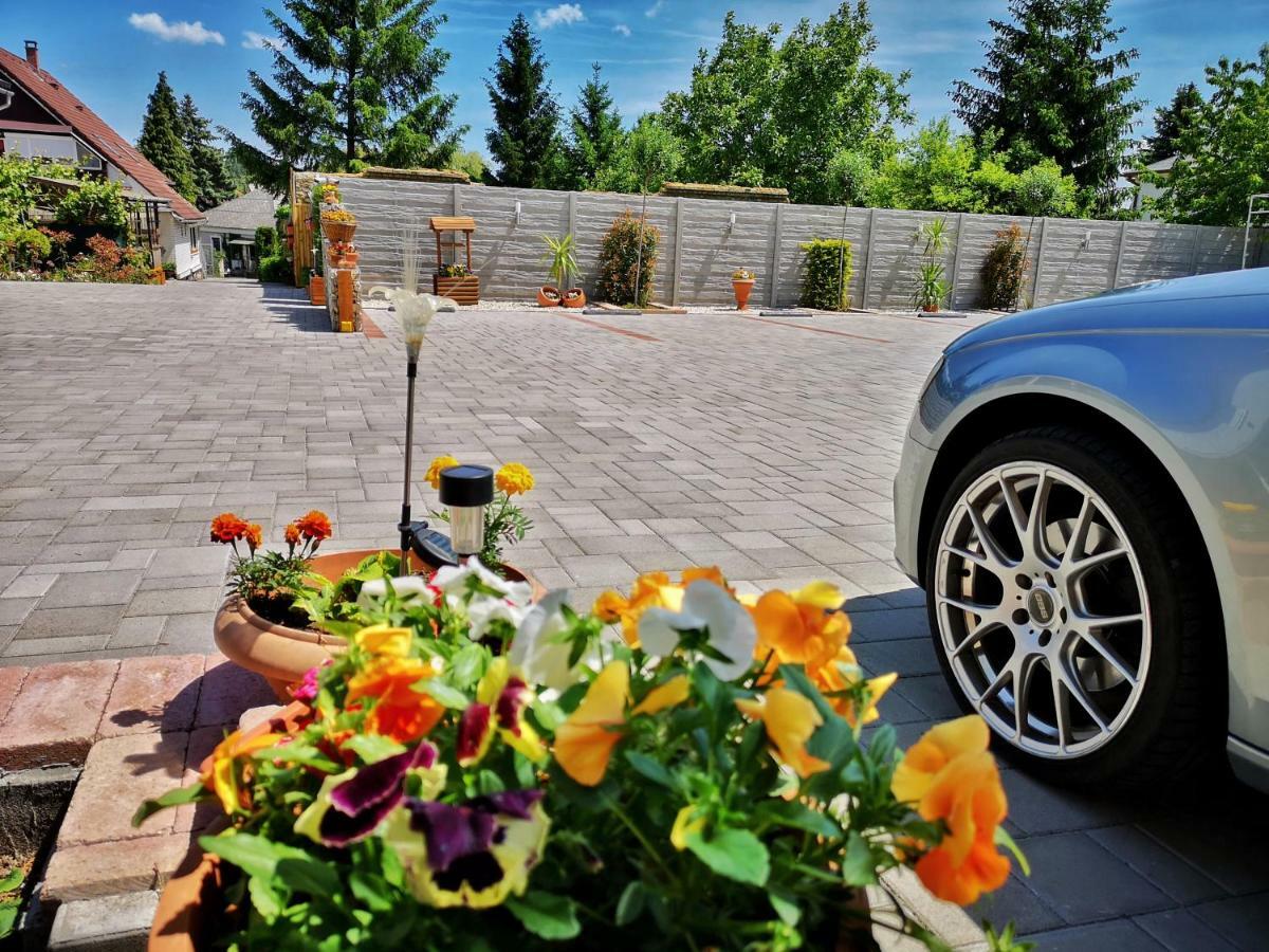 Bed and Breakfast Anna Panzio Herend Екстер'єр фото